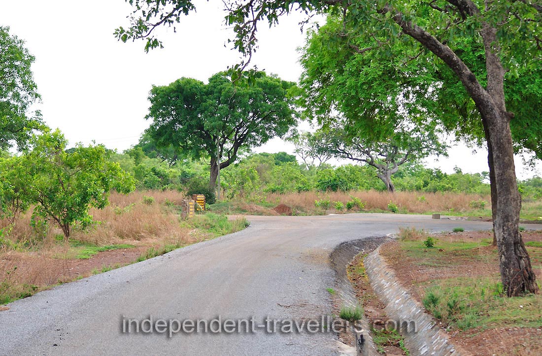 In the beginning of safari the road is paved