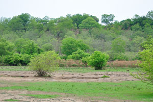 Previously the game reserve, it was upgraded into a National Park in 1964