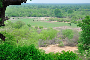 Mole is one of seven National Parks in Ghana