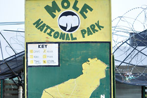 The map of Mole National Park