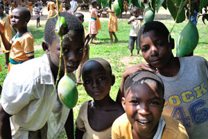School children are under the mango tree