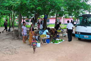 This small fruit market is in the village of Wli near the visitor information centre