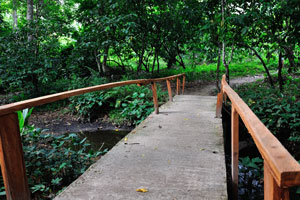 Sometimes we meet wooden bridges on the pathway to waterfall
