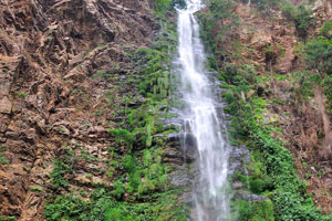 The sheer grandeur, beauty, height and cool environment of Wli waterfalls beat every imagination