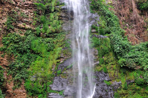 Wli waterfalls are a natural attraction every tourist will desire to visit