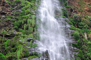 The lower part of the fall could be reached after about 40 to 45 minutes trekking through the forest