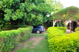 Greenery is used to decorate the paths and roof