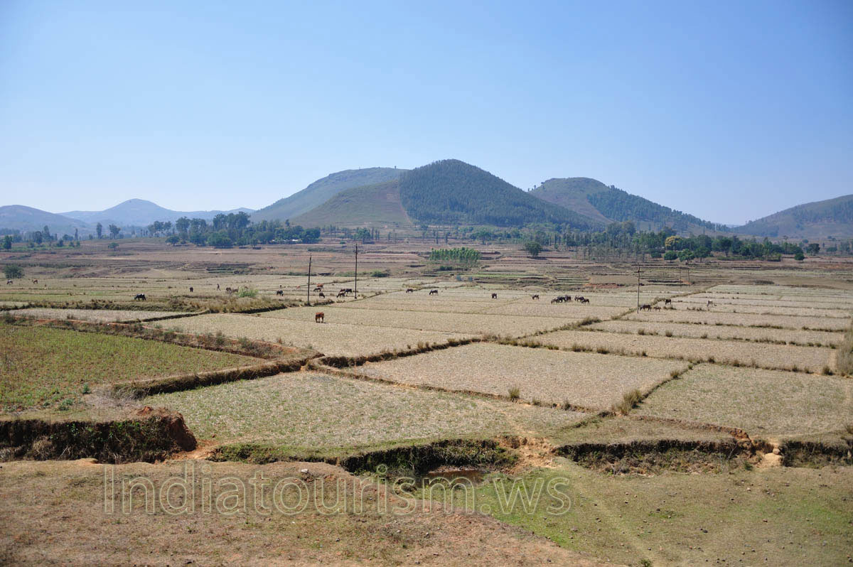 field at the foot of of the mountains is divided into squares