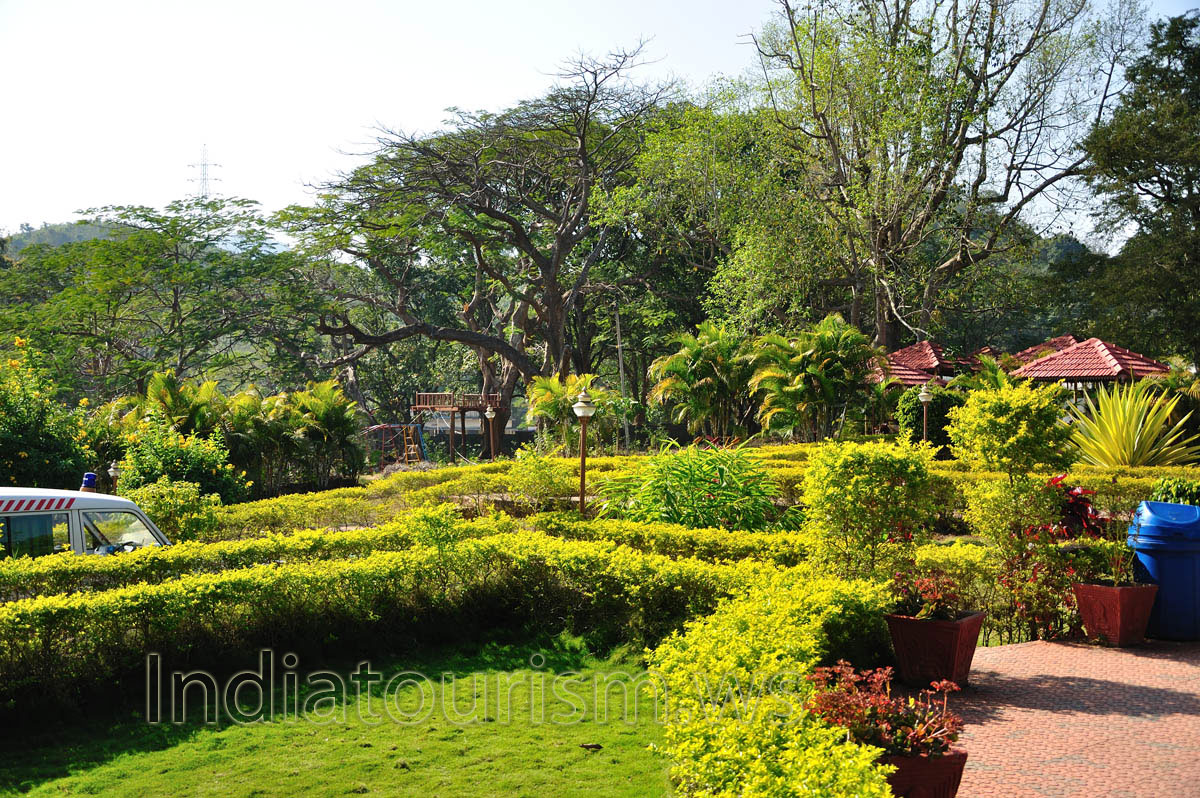 landscape design near cafe