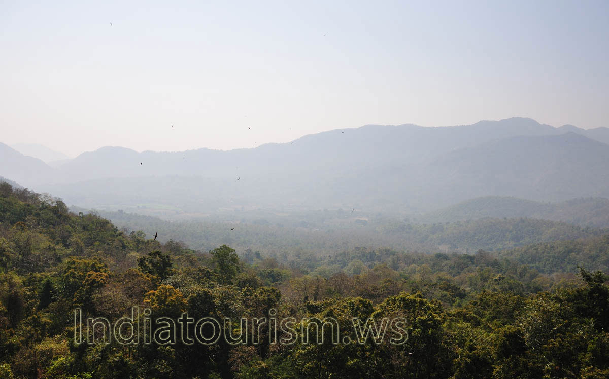 birds fly in the air of Araku valley