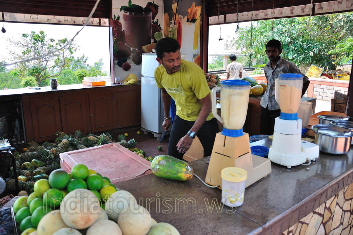 process of preparing fresh melon juice