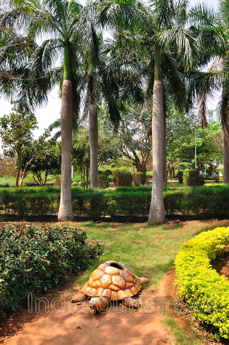 artificial turtle under the royal palms