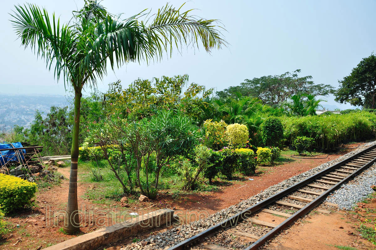 Royal palm has been planted at the beginning of the circular railroad