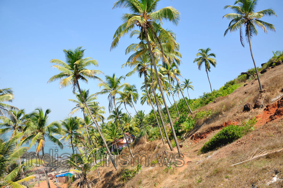 the steep cliff with palms