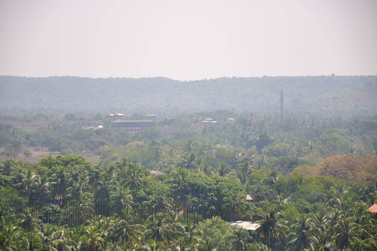 Arambol village in the midst of the palms