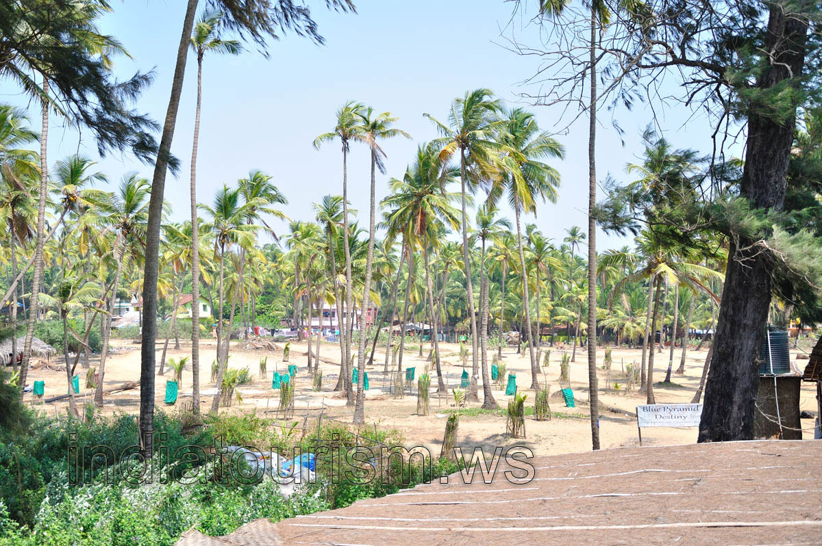 Territory of the Blue Pyramid Destiny