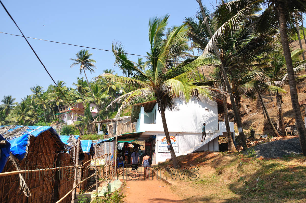Coconut palms around Pitruchaya guest house