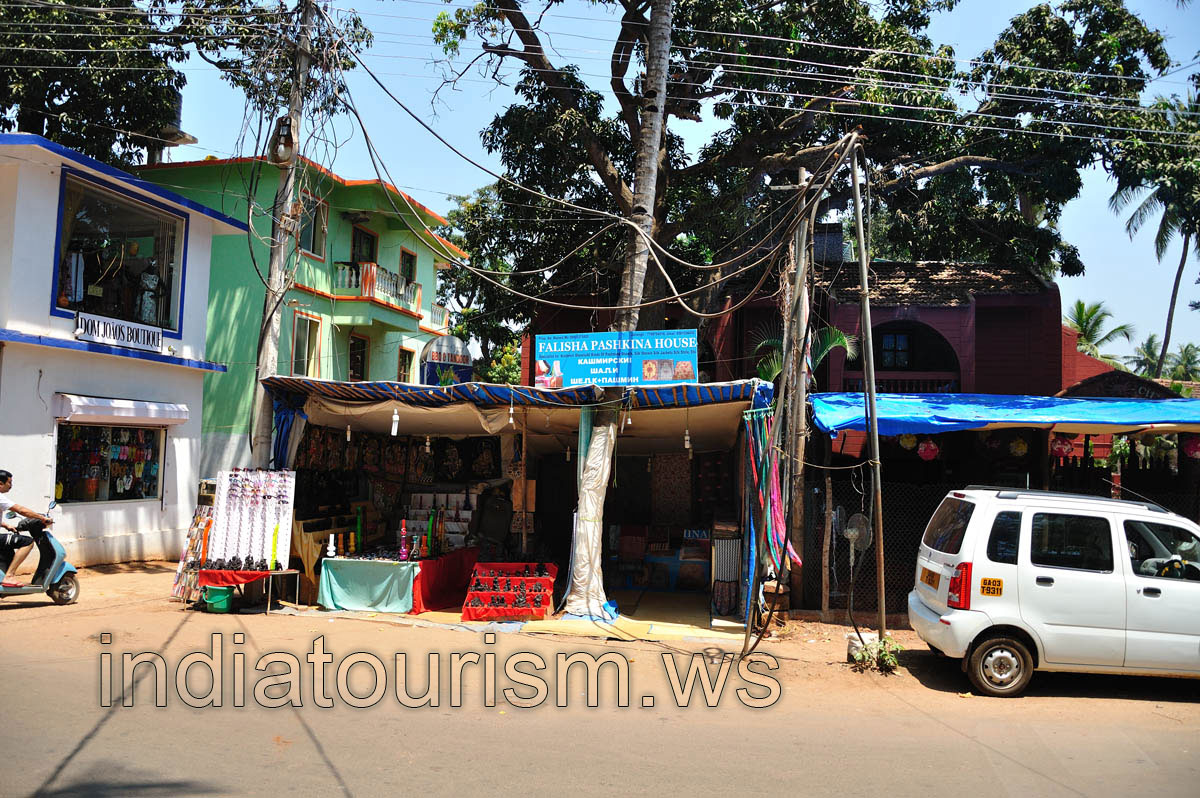 Falisha Pashkina house