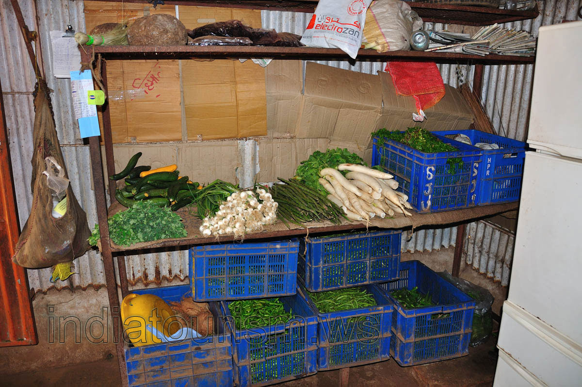Huge assortment of the green vegetables