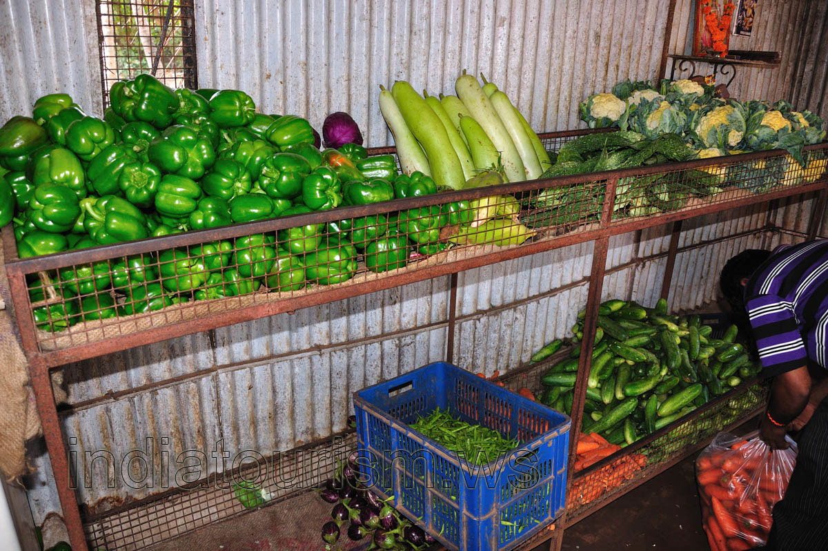 Green peppers and cucumbers