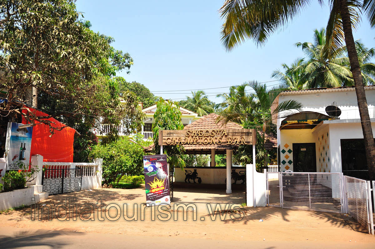 Shelsta Champions Bar