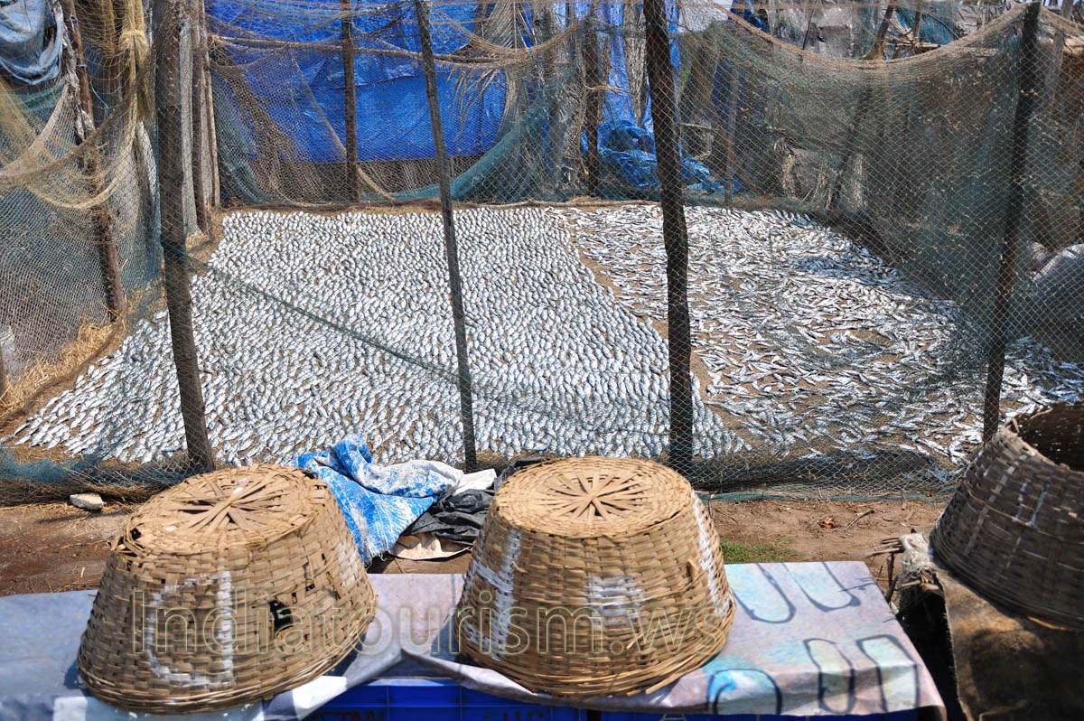 baskets for the dried fish