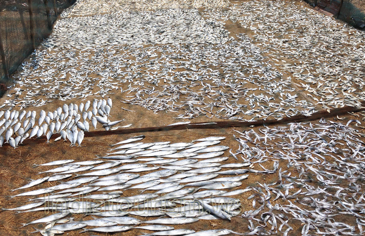 the fish is dried in the sun