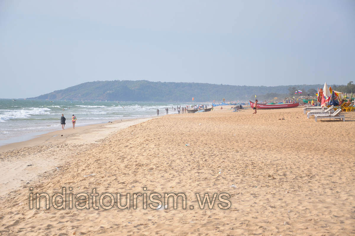 Cliff of the Baga beach, close-up view