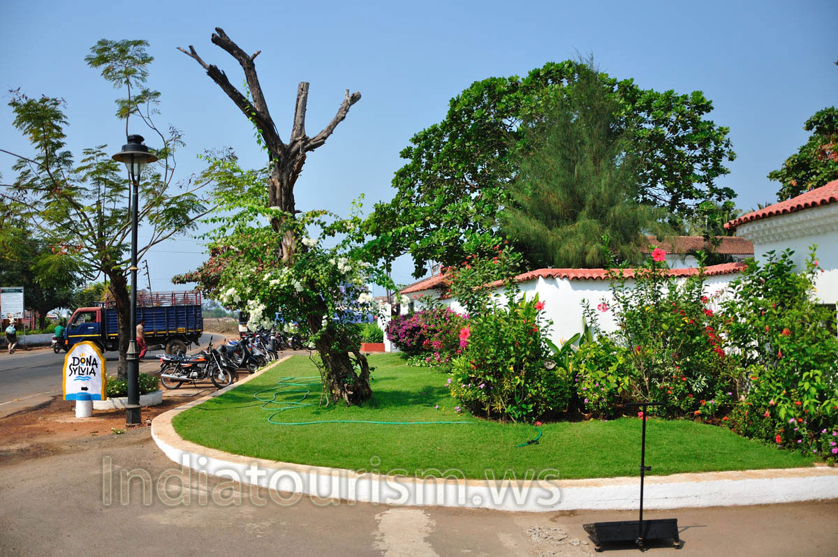 Green lawn near Dona Sylvia Beach Resort