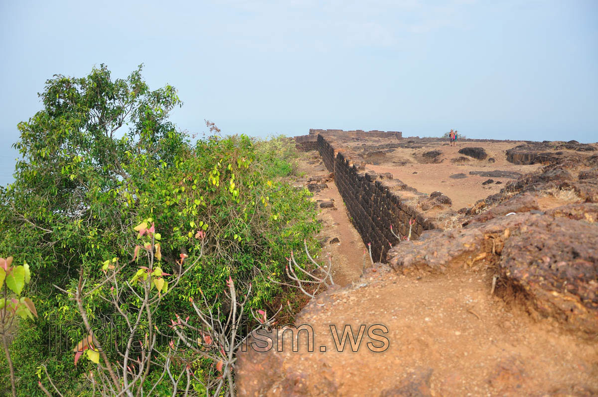 Trees outside the wall