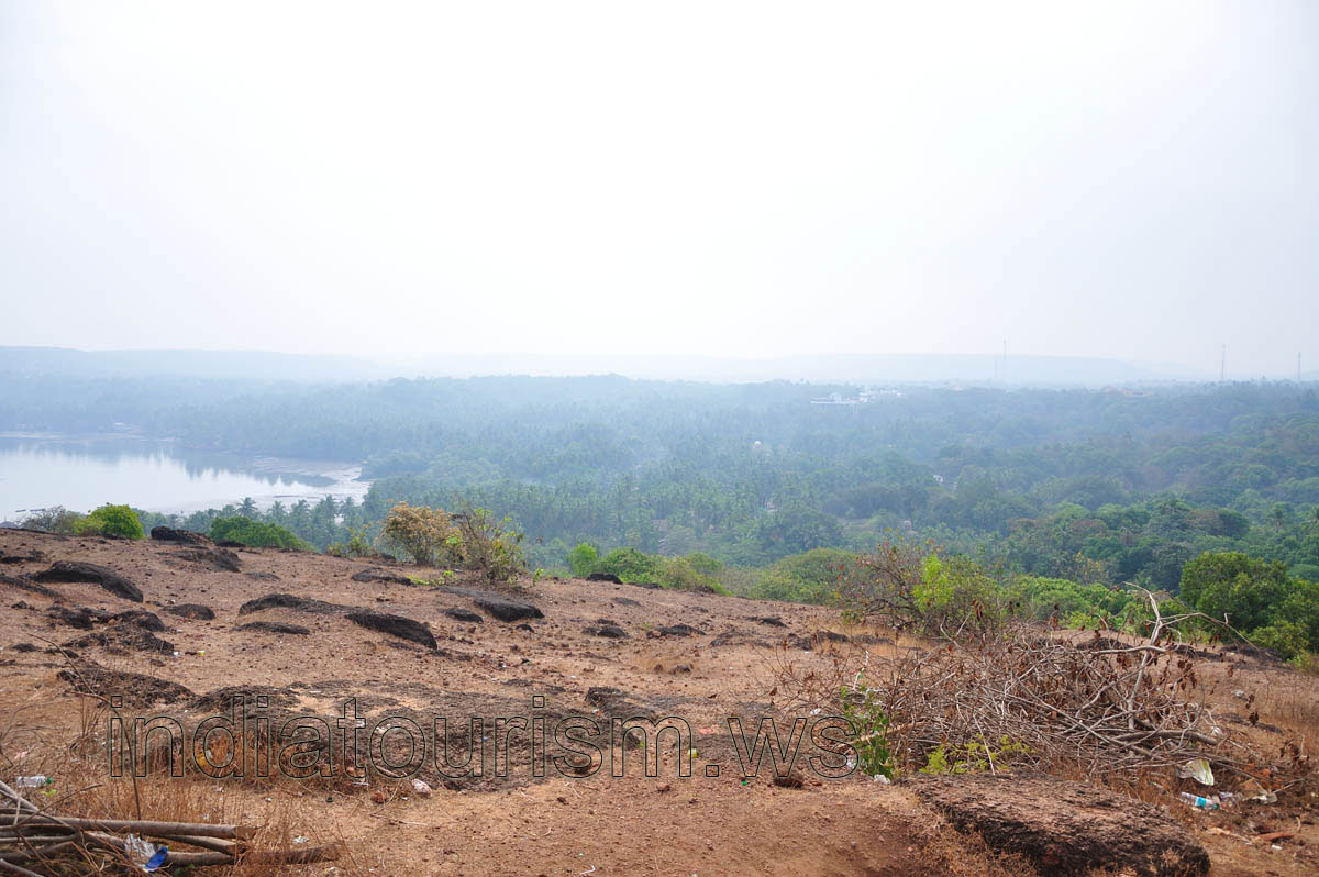 Forest around the fort