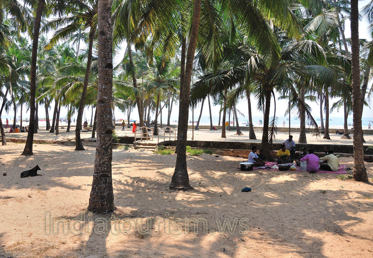 Place for picnic under the palms near the beach