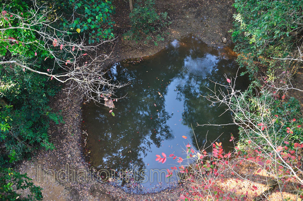 small water drinking pool for the animals