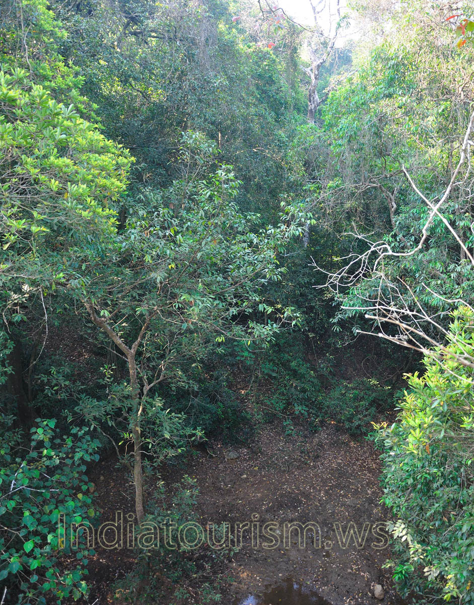 ground view from the watchtower