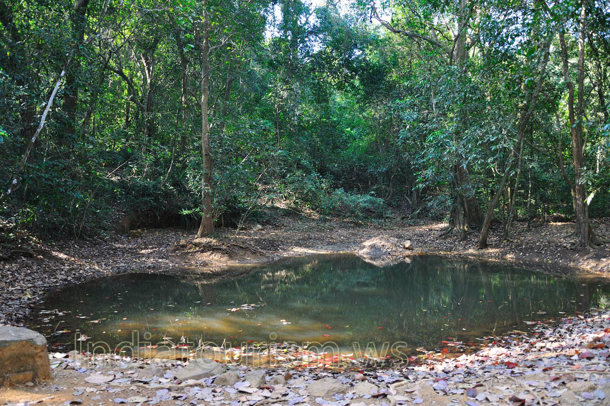 natural water drinking pool