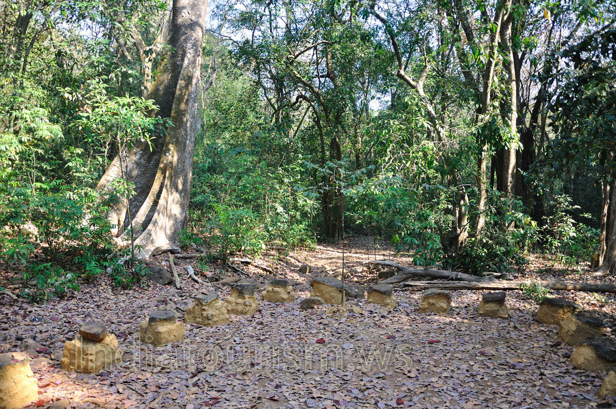 walked down from tree top house