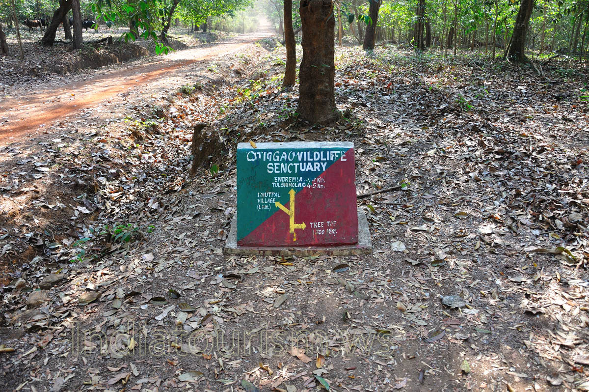 treetop watchtower pointer