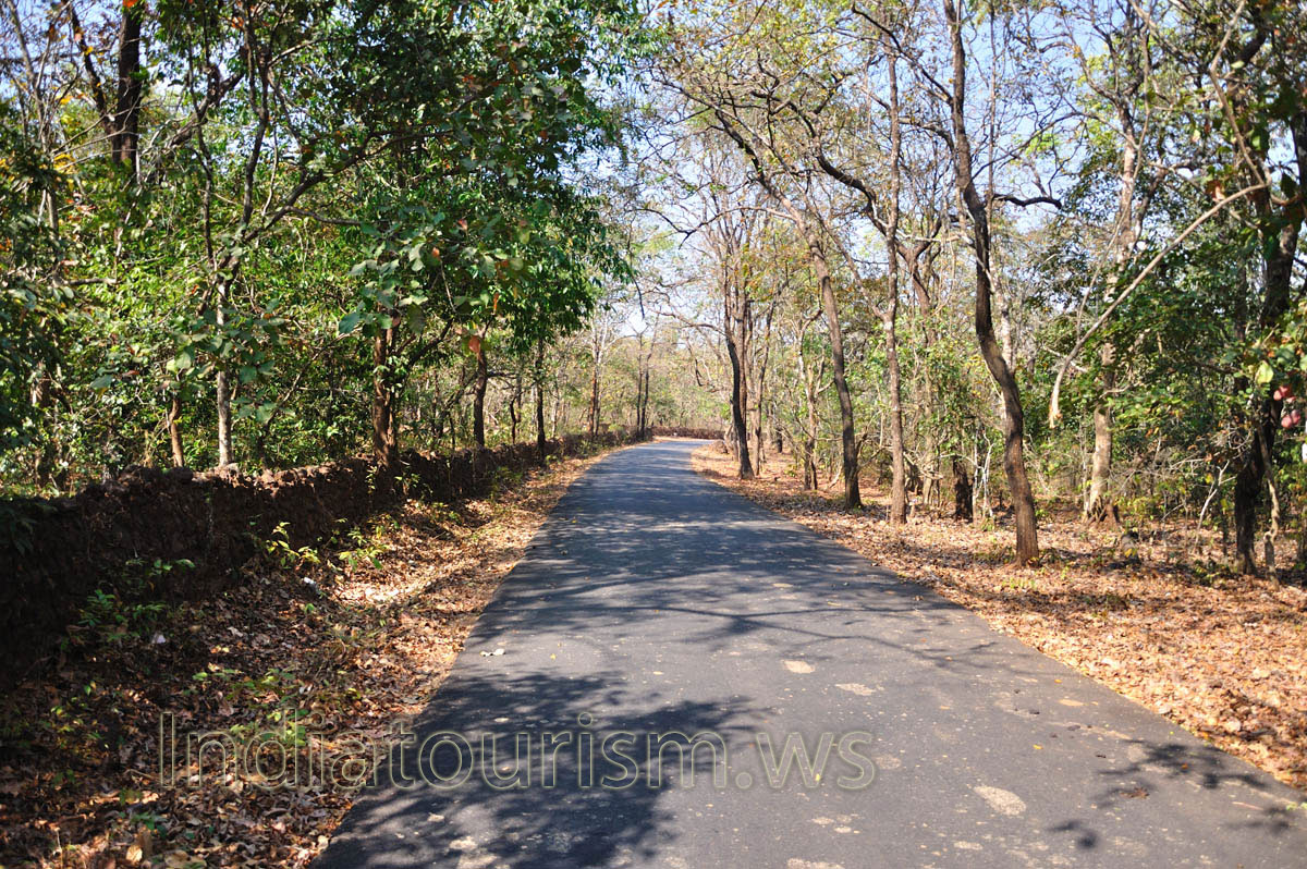 smooth asphalted road