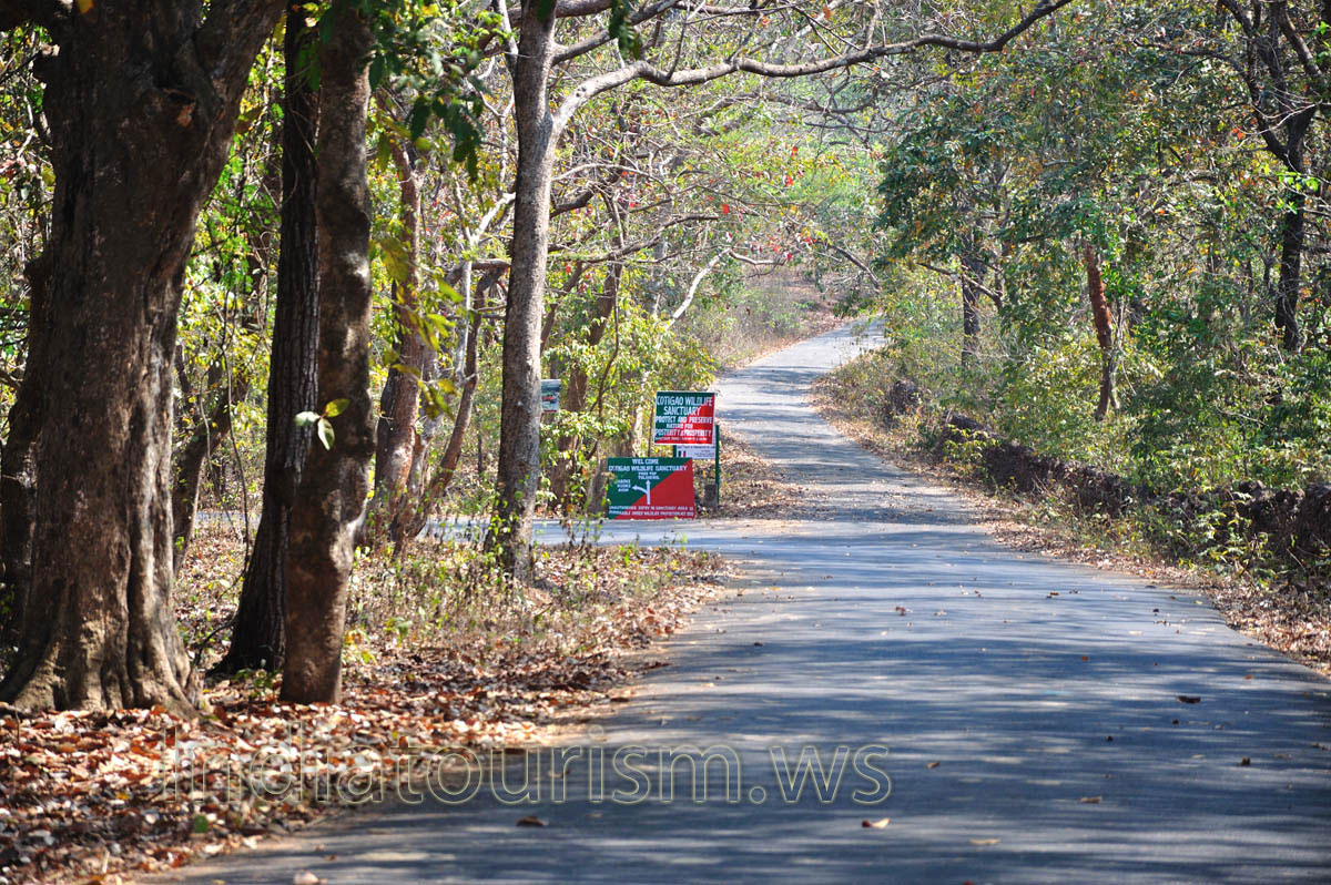 all objects here have its pointers