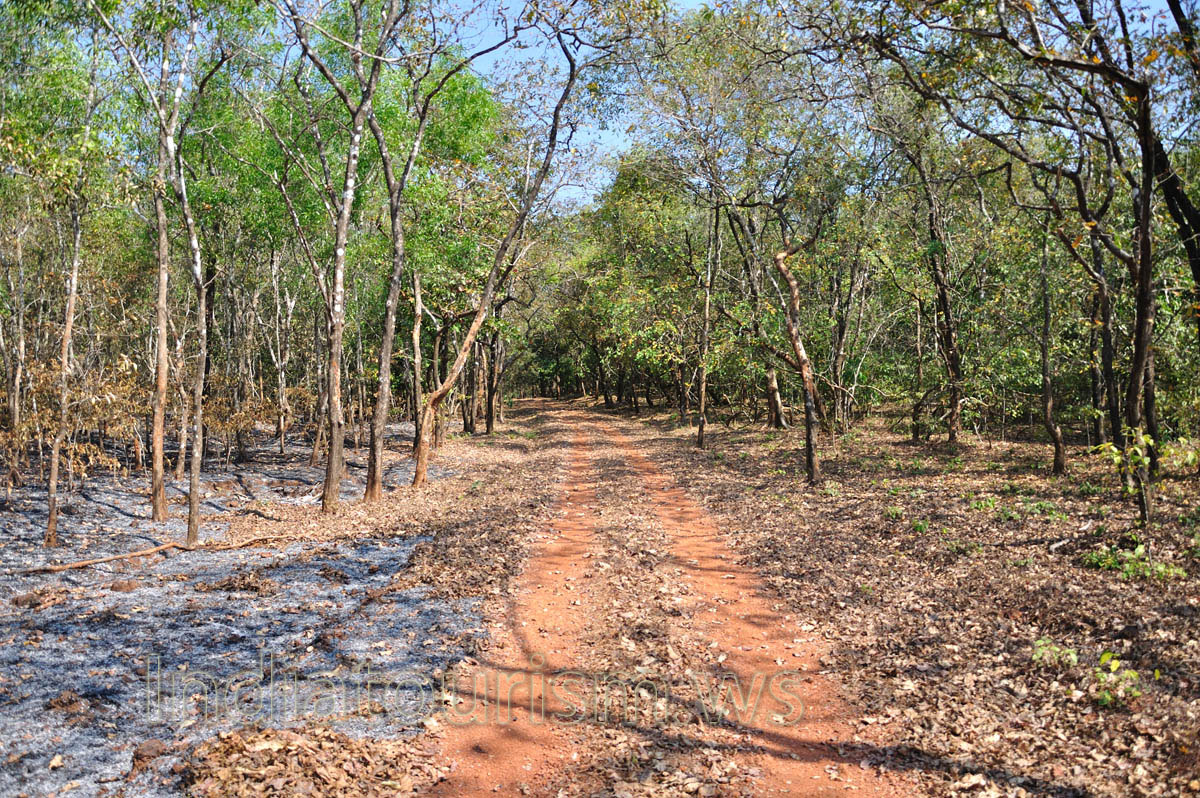 sometimes the road has red-brick color