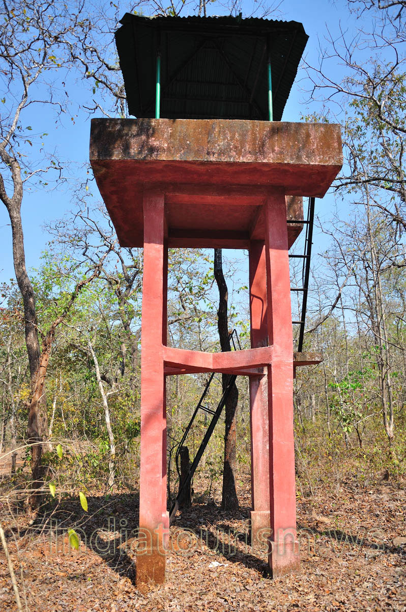 watchtower for birds tracking