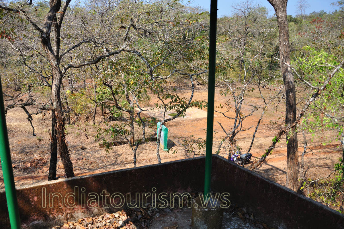 birds drinking pool as seen from watchtower