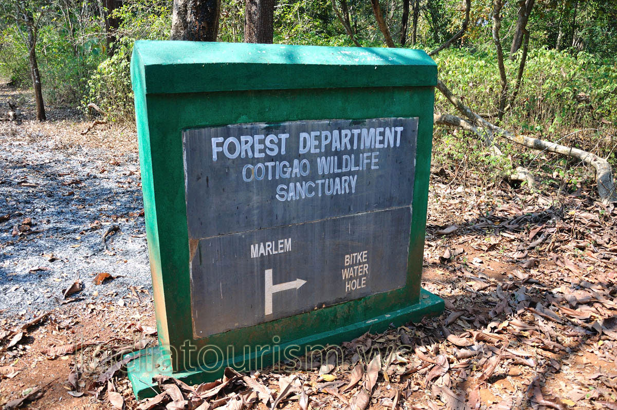 Marlem and Bitke Water Hole pointer