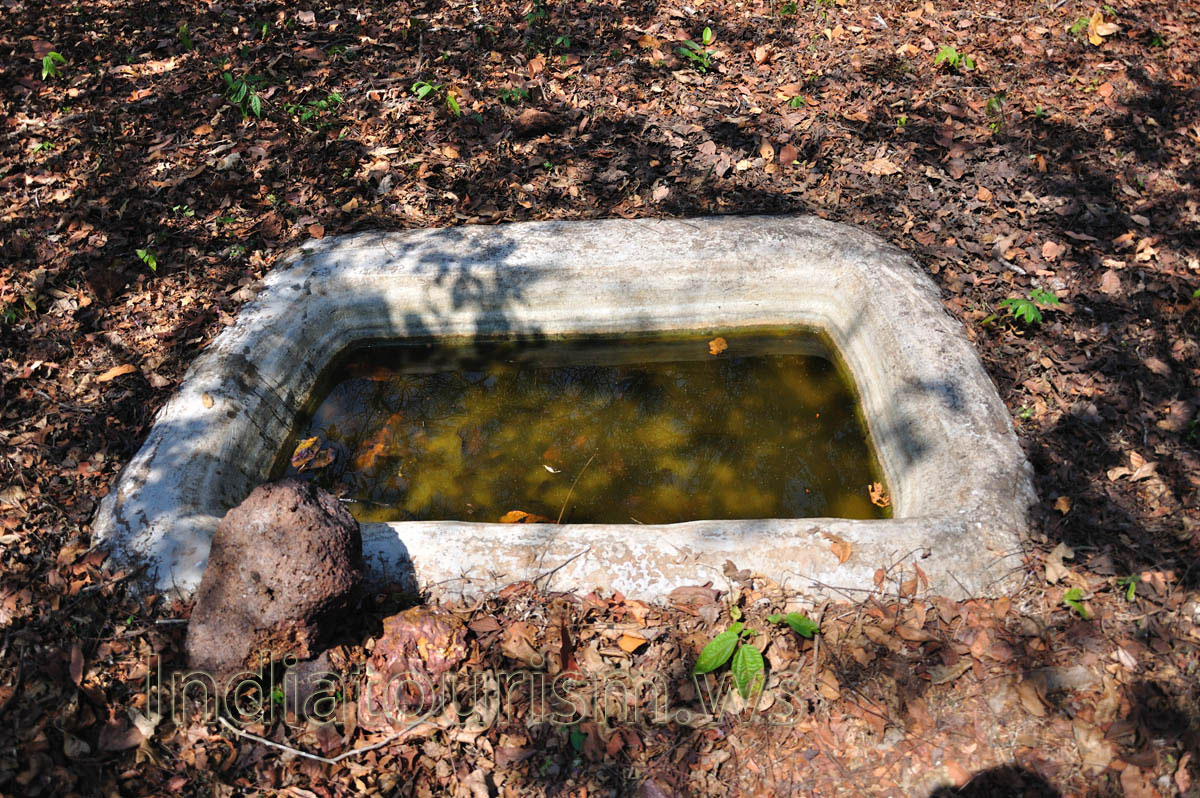 artificial water pool