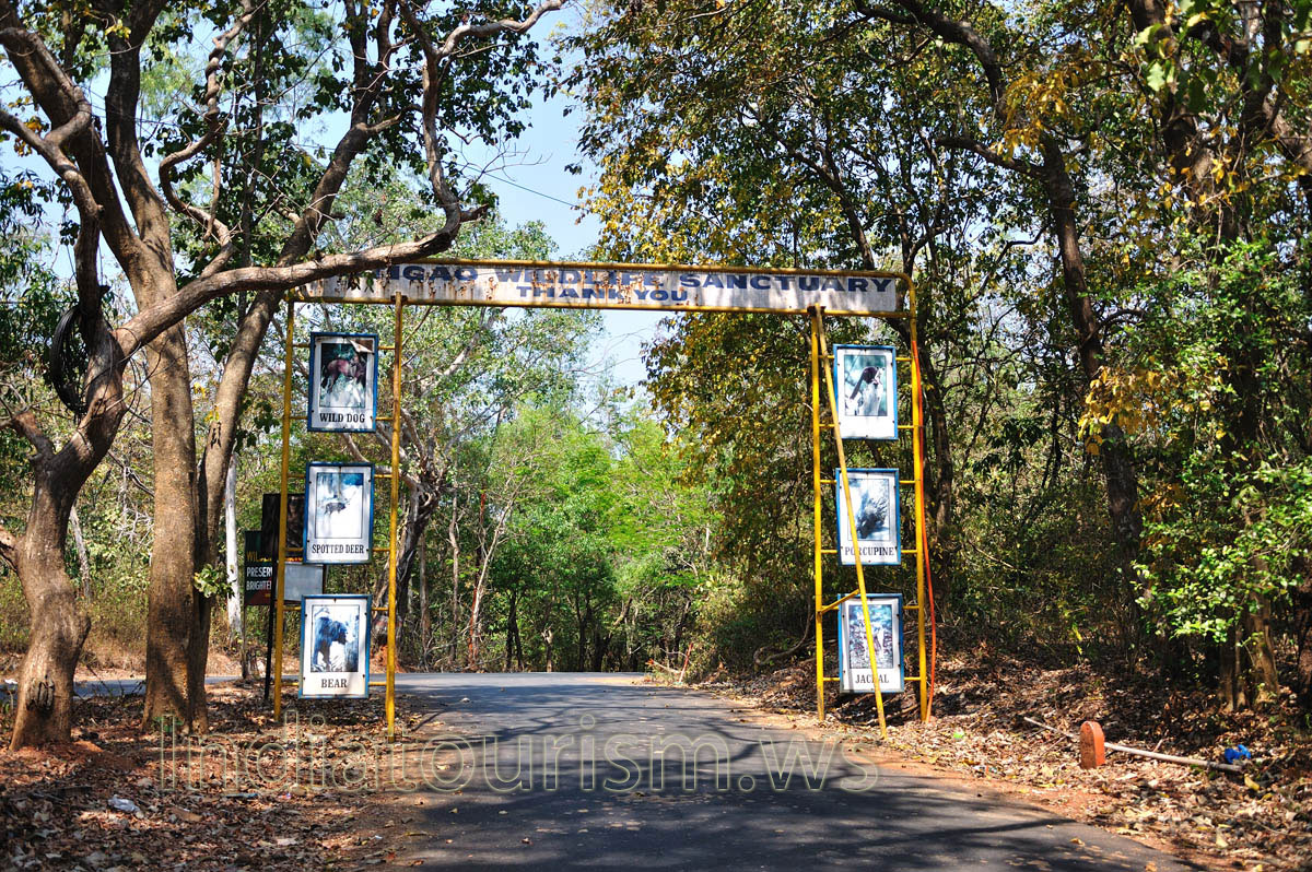 intersection with NH-17 highway
