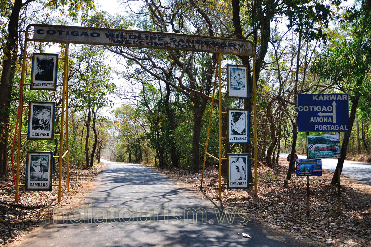 an offshoot of the NH-17 highway