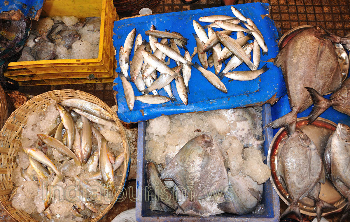 Fish Market: fish of small size