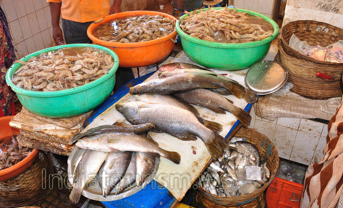 Fish Market: gray grouper and shrimp