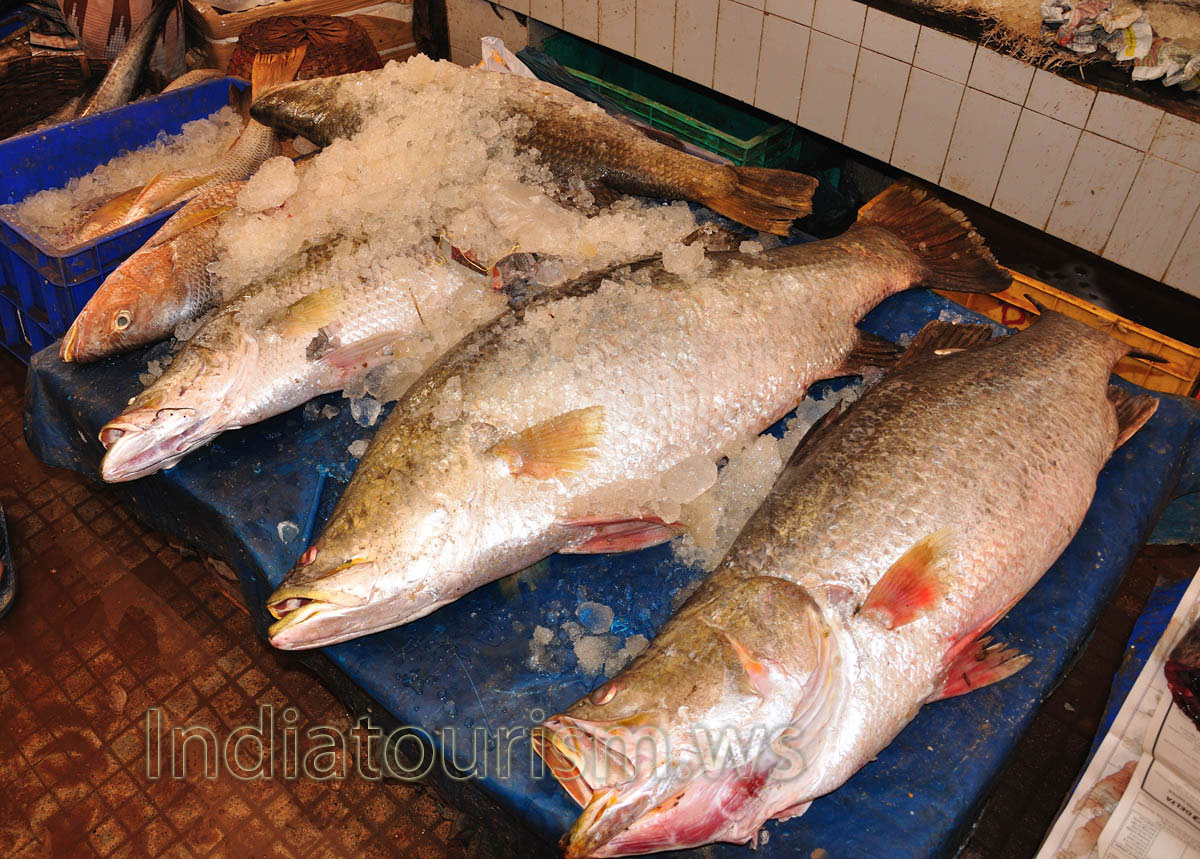 Fish Market: big fish