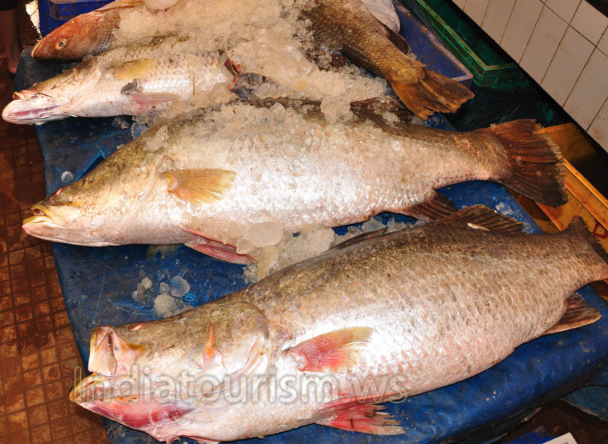 Fish Market: big fish with large scales